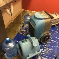 Pro clean carpet care ico