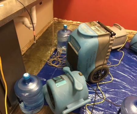 Pro clean carpet care