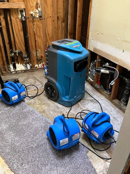 Pro clean carpet care Picture 5