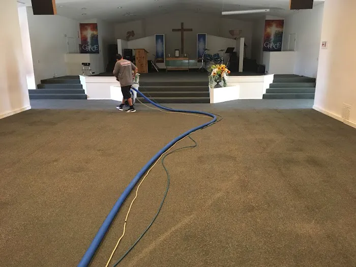 Pro clean carpet care Picture 2
