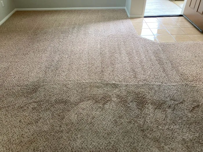Pro clean carpet care Picture 6