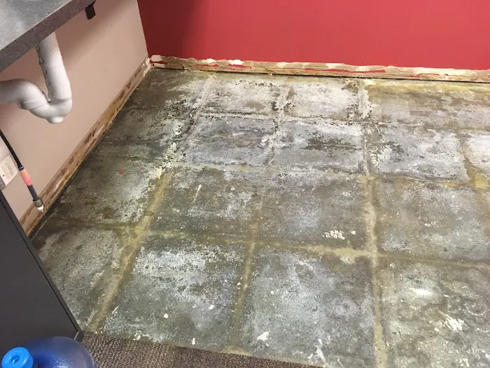 Pro clean carpet care Picture 3