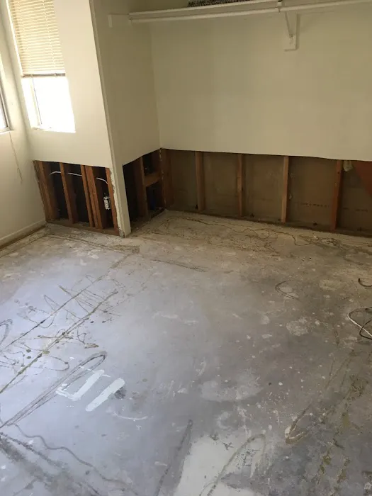 Pro clean carpet care Picture 9