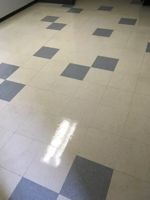 Pro clean carpet care Picture 7