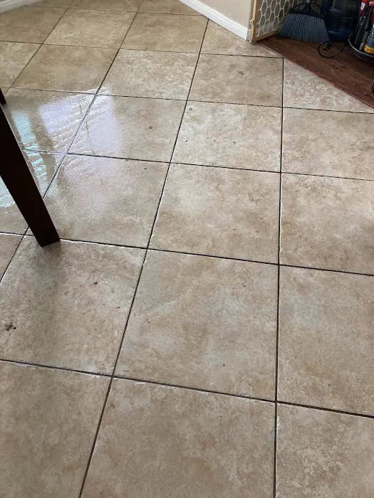 Pro clean carpet care Picture 8