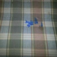 Stearns Cleaning ico