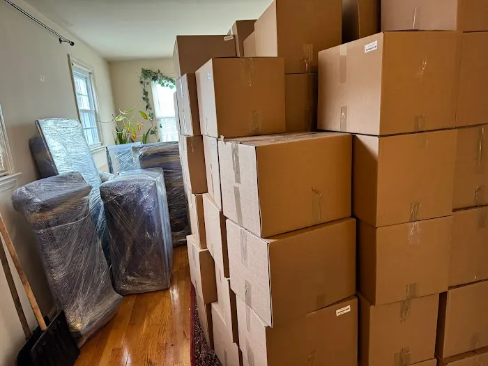 Blue Kangaroo Packoutz of N. Central NJ Picture 5