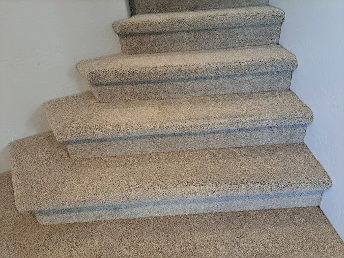 Stanley Steemer Picture 9