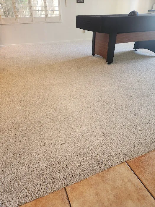 Stanley Steemer Picture 10