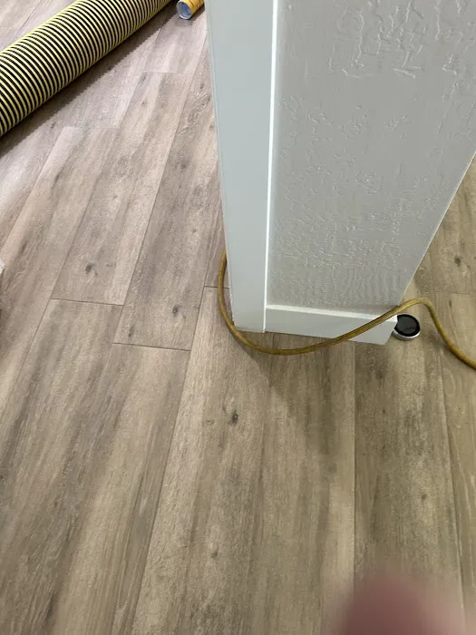 Stanley Steemer Picture 6