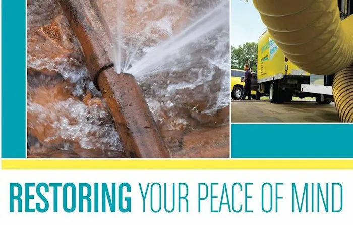 ServiceMaster By Blaze Picture 6