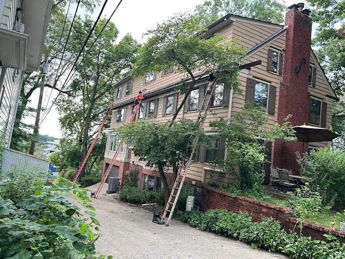 Tomlinson Cannon Picture 9