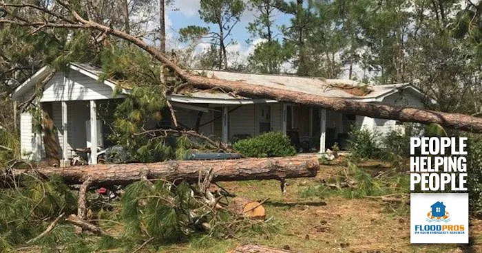 Flood Pros USA Picture 3