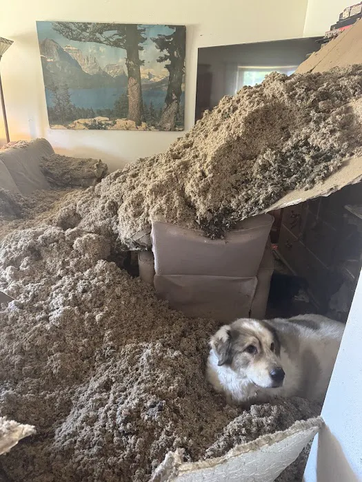 Werner Restoration Services Inc Picture 7