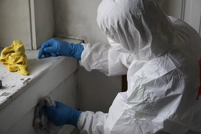 SERVPRO of Iowa City/Coralville Picture 6