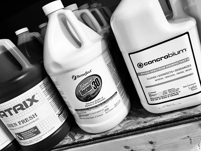 Performance Picture 5