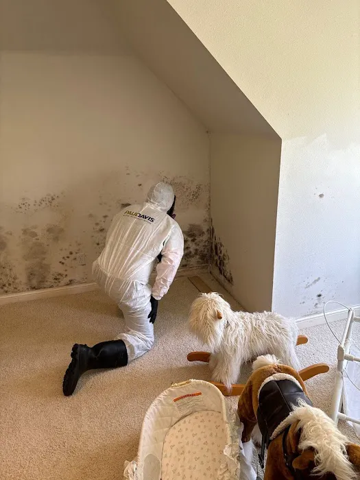 Paul Davis Restoration of the Iowa Corridor Picture 8