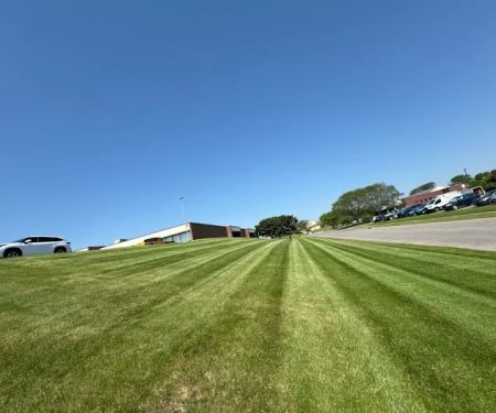 All Green Site Management - Illinois