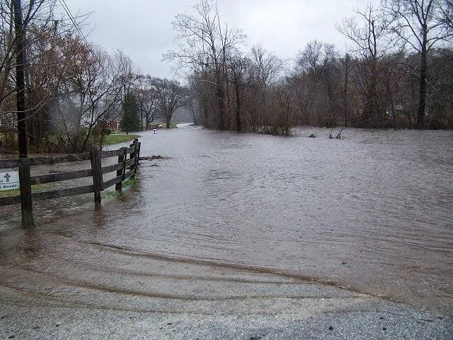 Jarvis Property Picture 1