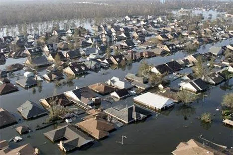 Jarvis Property Picture 2