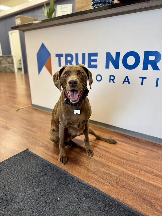 True North Restoration - Corridor Picture 9