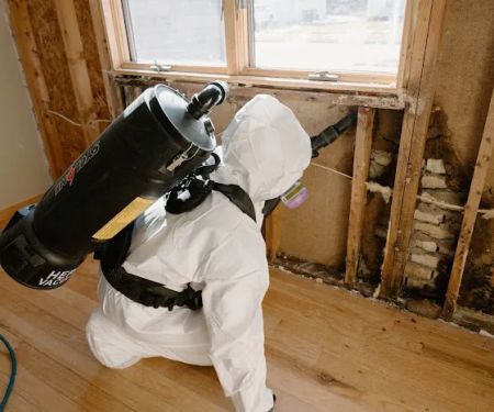 True North Restoration - Corridor