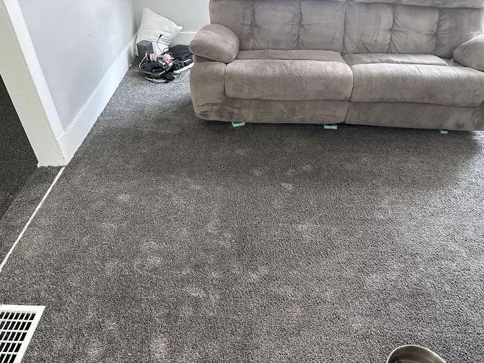 Stanley Steemer Picture 2