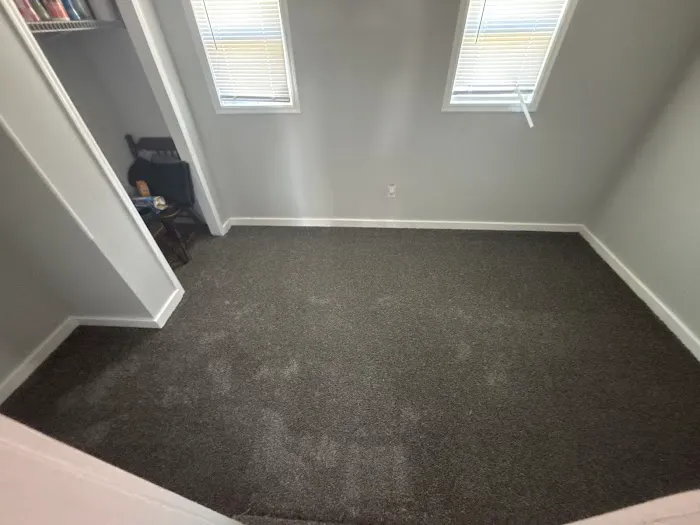 Stanley Steemer Picture 1