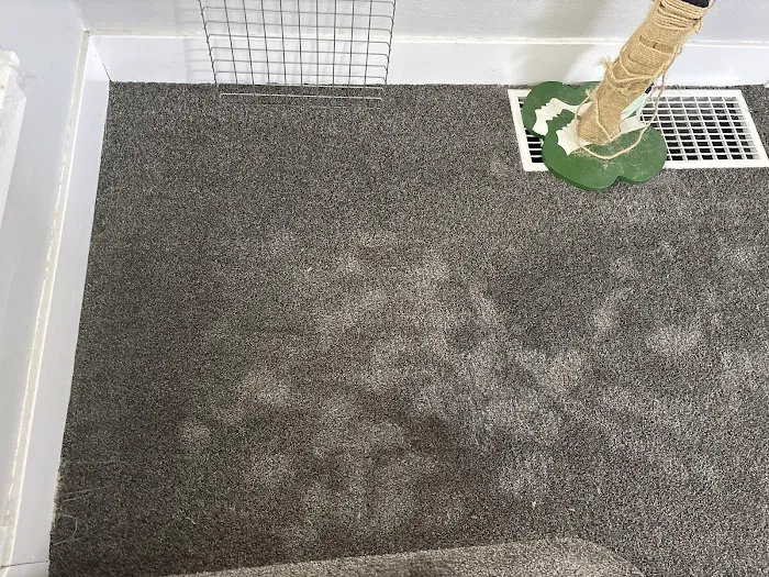 Stanley Steemer Picture 5