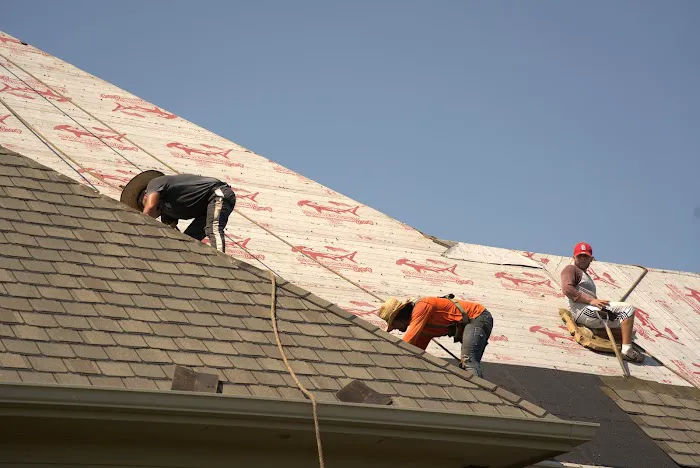 Premier Plus Storm Team Picture 7