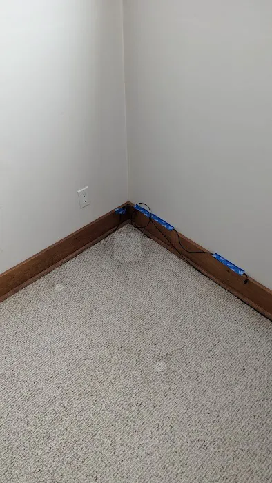 American Dream Carpet Cleaning Picture 8