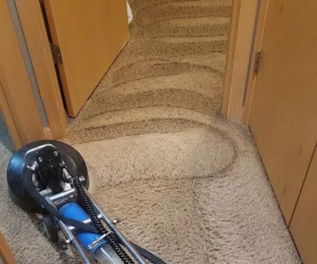 American Dream Carpet Cleaning