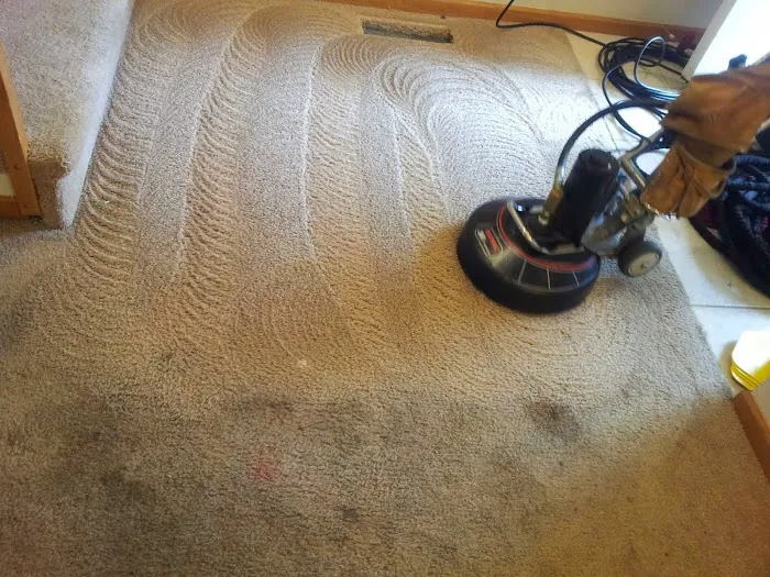 American Dream Carpet Cleaning Picture 5