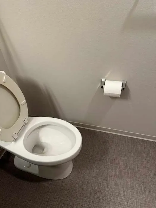 Daily Shine Cleaning Services LLC Picture 1