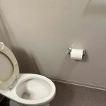 Daily Shine Cleaning Services LLC