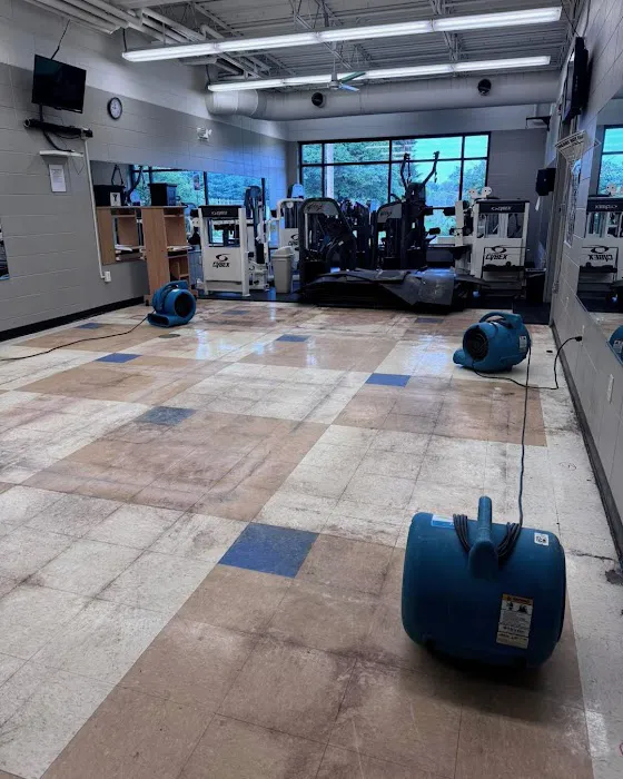 ServiceMaster Cleaning & Restoration Picture 8