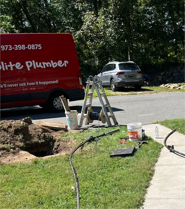 The Polite Plumber Picture 10