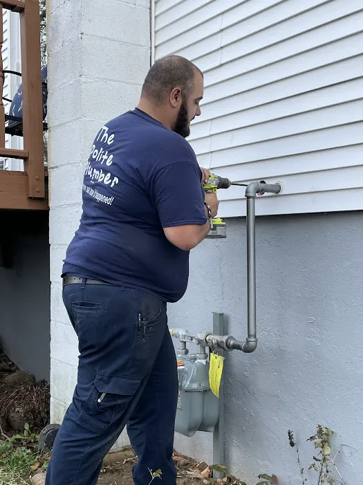 The Polite Plumber Picture 9