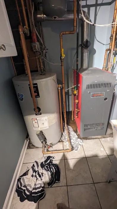 The Polite Plumber Picture 4