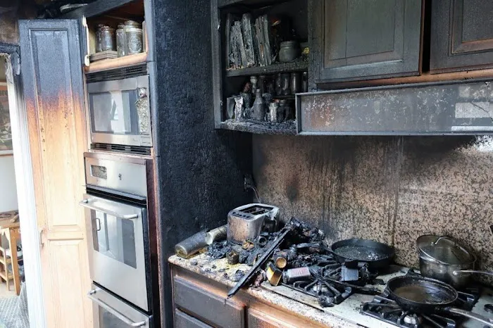 Lux Dux Pux Inc. Picture 5