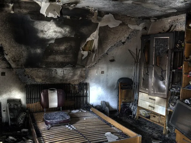 Lux Dux Pux Inc. Picture 1