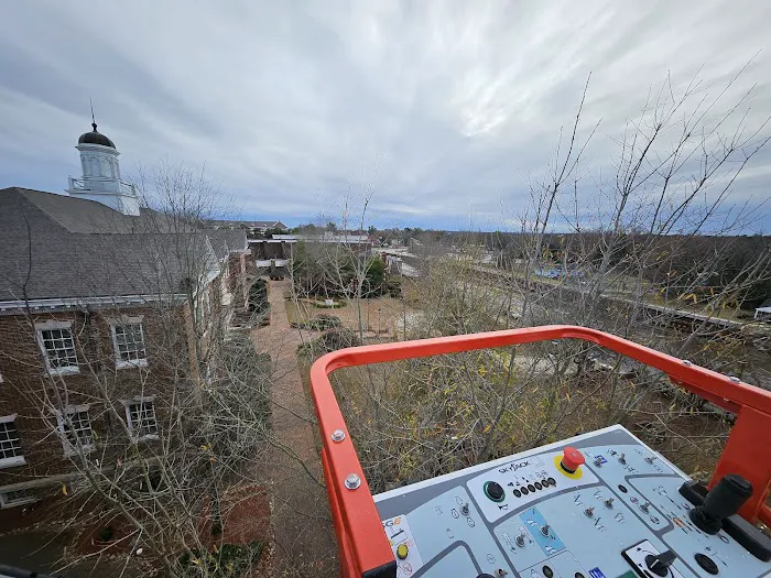 Ross Painting Plus Picture 4