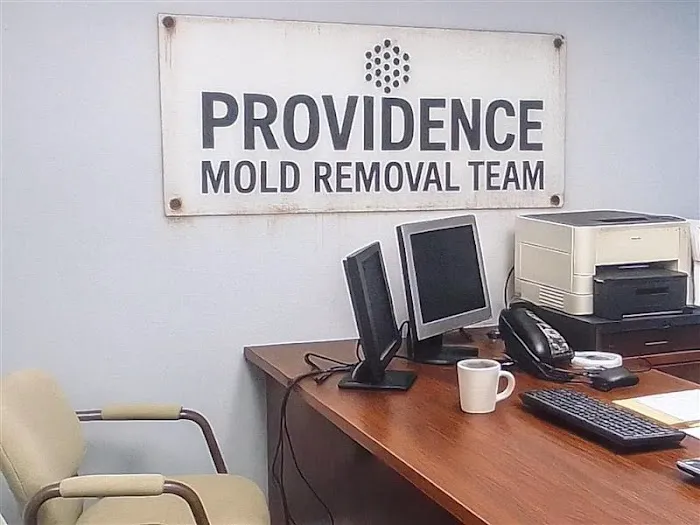Providence Mold Removal Team Picture 1