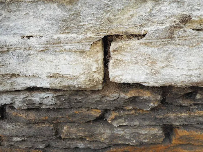 AAA Reick's Landscaping & Waterproofing Picture 7