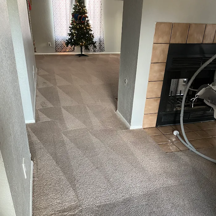 Real Steamers Picture 10