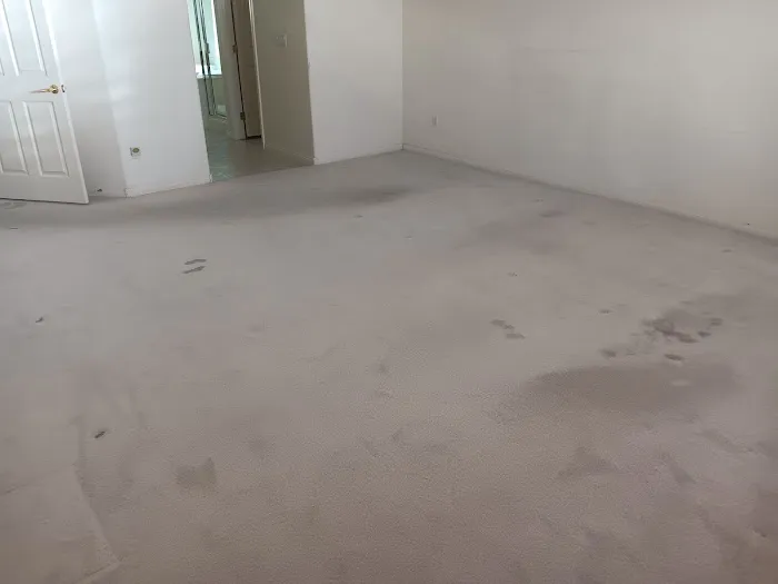 Real Steamers Picture 9