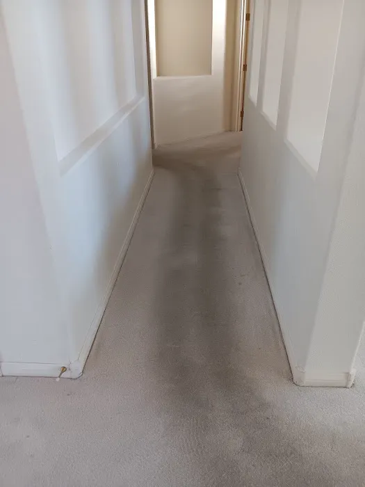 Real Steamers Picture 2