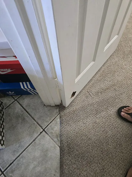 Real Steamers Picture 1