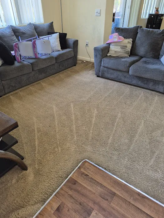 Real Steamers Picture 8