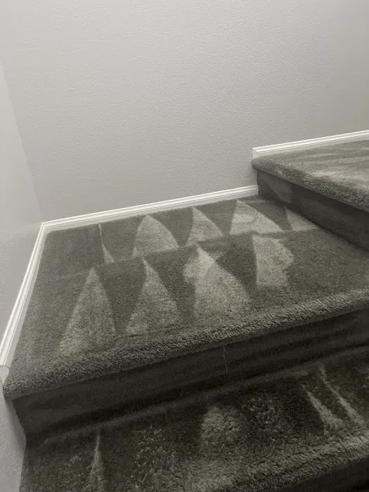 Real Steamers Picture 4